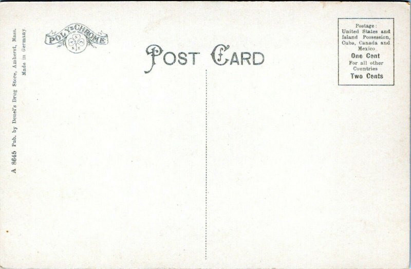 1910 SUNDERLAND Mount Toby Roaring Brook Cascade Massachusetts Postcard EO