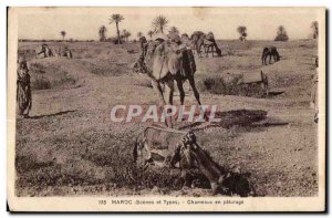 Old Postcard Scenes et Types Morocco Camels in pasture Camel