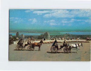 Postcard Old French Horsedrawn Carriages On Mount Royal, Montreal, Canada