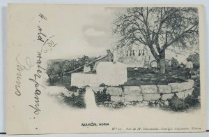 Mahon Noria Old Water Pump c1905 Spain Postcard L6