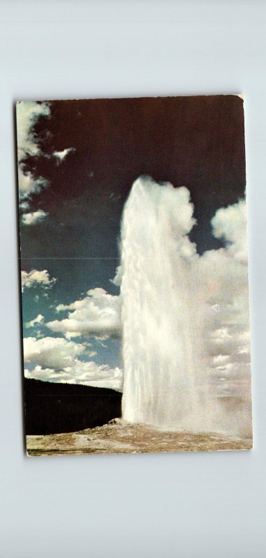 Old Faithful Geyser,Yellowstone BIN