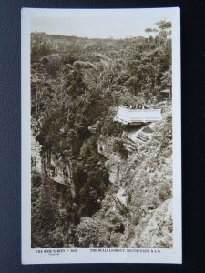 Australia NSW THE BULLI LOOKOUT South Coast Old RP Postcard by Rose Stereograph