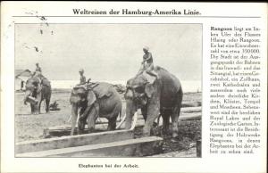 Hamburg-Amerika Hamburg Amerika Line Steamships Rangoon Elephants Used PC