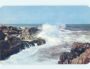 Pre-1980 NATURE Ogunquit by Wells & York & Portsmouth & Kennebunkport ME AD2504