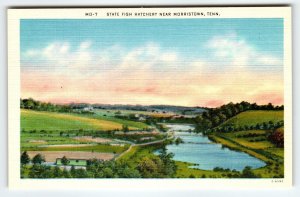 State Fish Hatchery Near Morristown Tennessee Postcard Vintage Linen Fishing