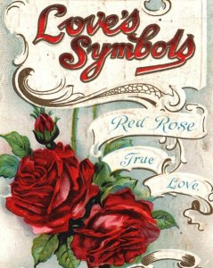 Vintage Postcard-Early 1900s-Red Rose Symbol of True Love