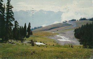 Hurricane Ridge Highway to Summit Olympia National Park WA Washington pm 1957