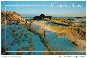 New Jersey Sand Dunes At The New Jersey Shore