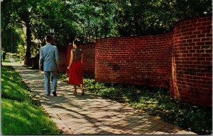 Vtg 1950s Serpentine Wall University Of Virgina Charlottesville VA Postcard