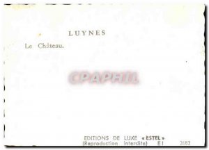 Modern Postcard the castle Luynes