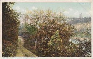Kentucky High Bridge Old Wilderness Road
