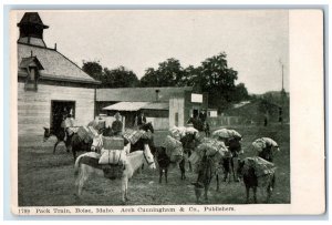 Boise Idaho ID Postcard Pack Train Arch Cunningham & Co Publishers 1905 Unposted