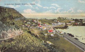 J76/ Laupahoehoe Hawaii Postcard c1910 Birdseye View Homes 270