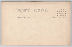 RPPC Two Couples Niagara Falls Faux Falls Studio Prop Real Photo Postcard C44