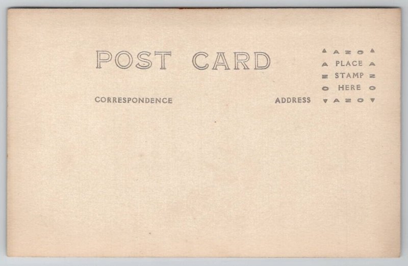 RPPC Two Couples Niagara Falls Faux Falls Studio Prop Real Photo Postcard C44