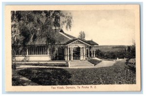 c1910s Tea Kiosk Domain Te Aroha New Zealand NZ Unposted Antique Postcard