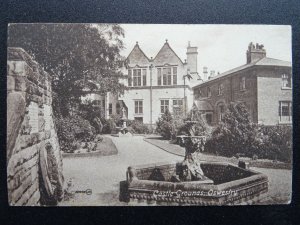 Shropshire OSWESTRY Castle Grounds c1917 Postcard by Valentine