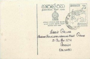 Entier Postal Stationery Postal Sri Lanka Ceylon Lion