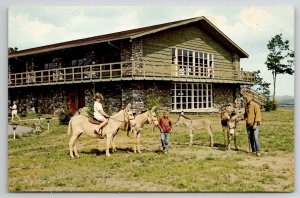 Boone NC Seven Devils Visitors Center Trail-riding Burros Postcard R28
