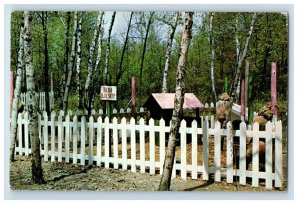 Vintage Baa Baa Black Sheep Deer Acres Pinconning Michigan Postcard P109E