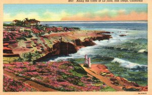 Vintage Postcard Seaside Along The Cliffs at La Jolla San Diego California CA