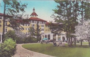 North Carolina Pinehurst Entrance Drive To The Carolina Hotel Albertype