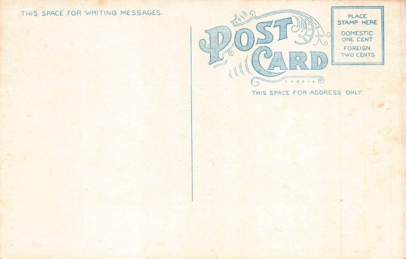 US Maine Newport Mountain Bar Harbor vintage postcard