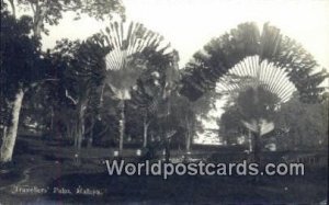 Real Photo Travellers' Palm Malaya, Malaysia Writing On Back 