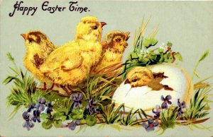 Happt Easter With Young Chicks Tucks