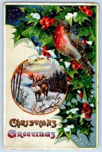 Christmas Postcard Greetings Deer Birds Holly Berries Embossed Altoona PA 1909