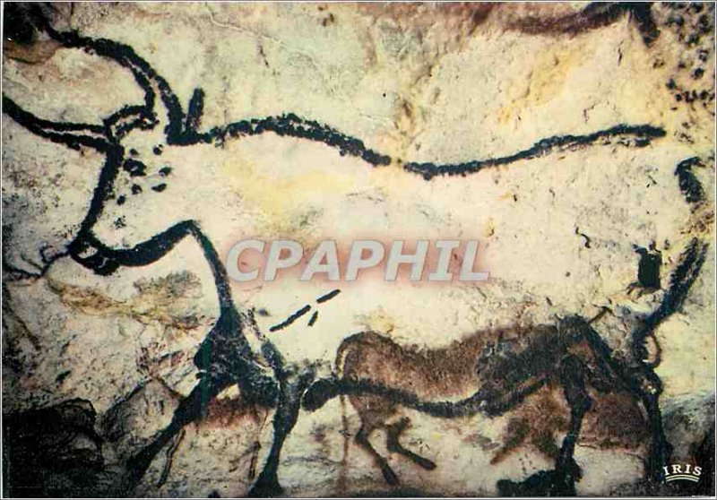 Modern Postcard Lascaux Le Perigord Tourist Prehistoric Art Great Hall wall L...