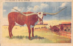 Long Horn Steer Longhorn Steer Bull Old Southwest 1942 Missing Stamp postal m...