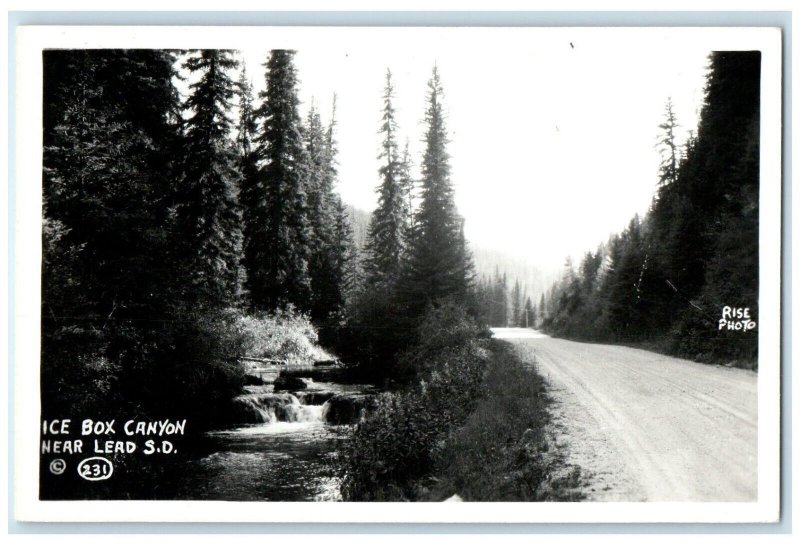 c1940's Ice Box Canyon Near Lead South Dakota SD RPPC Photo Vintage Postcard