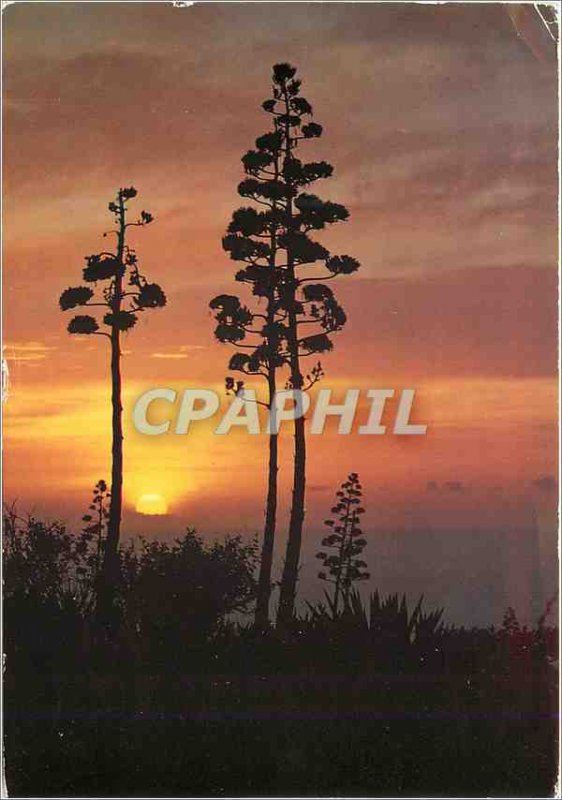 Modern Postcard Reunion Island Sunset St Leu