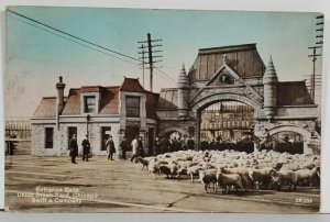 RPPC Entrance Gate Union Stock Yard, Chicago Swift & Company Postcard Q11