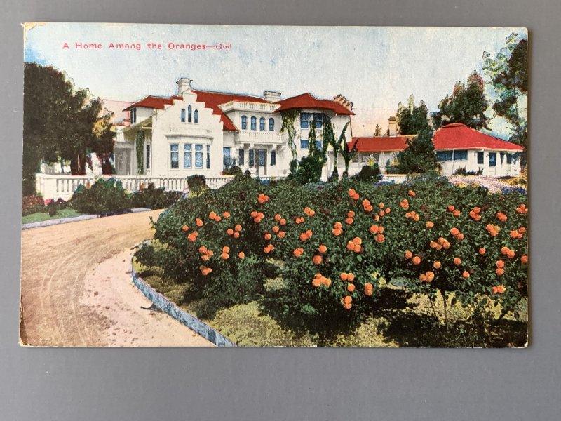 A Home Among Oranges CA Litho Postcard A1145085936