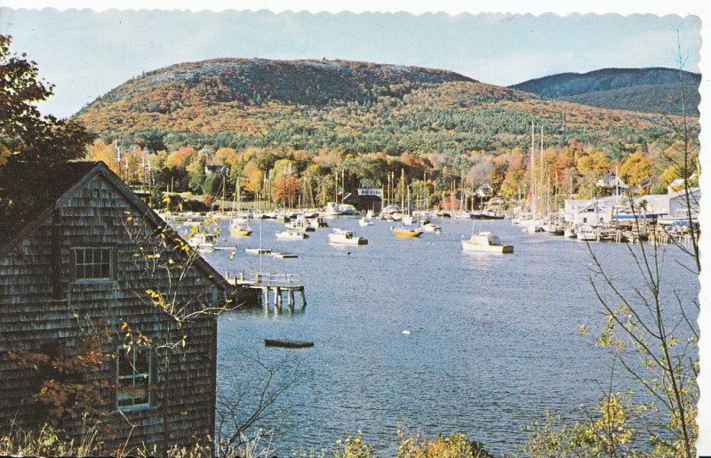 America Postcard - Camden, Maine. Posted 1998 - Ref.A5348