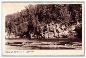 c1930's View of Gaujas Klintis Pie Ligatnes Latvia Unposted Vintage Postcard 