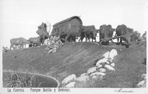 Montevideo Uruguay c1930 RPPC Real Photo Postcard Carreta Parque Battle Ordonez