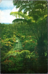 Postcard - Road Through Fern Forest, Hawaii National Park