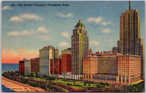 The Drake Chicago's Wonderful Hotel Lake Michigan Chicago Illinois IL Postcard