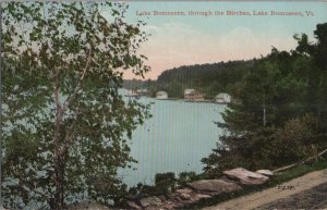 Postcard Lake Bomoseen Through the Birches Lake Bomoseen VT Vermont