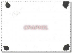 Old Postcard Verona Les Arenes Year 1957