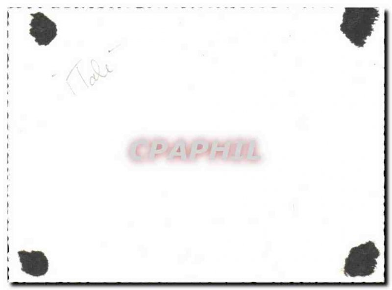 Old Postcard Verona Les Arenes Year 1957