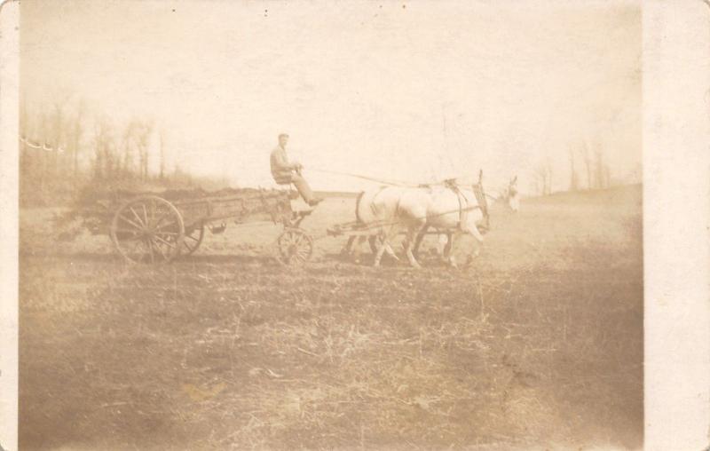 Real Photo Postcard~White Horse Team Pulls Farmer in Wagon~c1912 RPPC