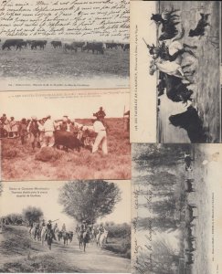 CAMARGUE Horses Bullfghting France 274 Vintage Postcards pre-1940 (L4166)