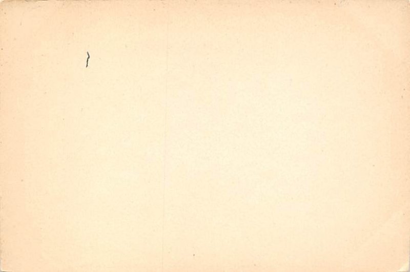 Ragged jacket seal Arctic Exploration Non Postcard Backing 