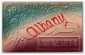 1910 Greetings From Albany Minnesota Embossed Glitter Airbrush Vintage Postcard