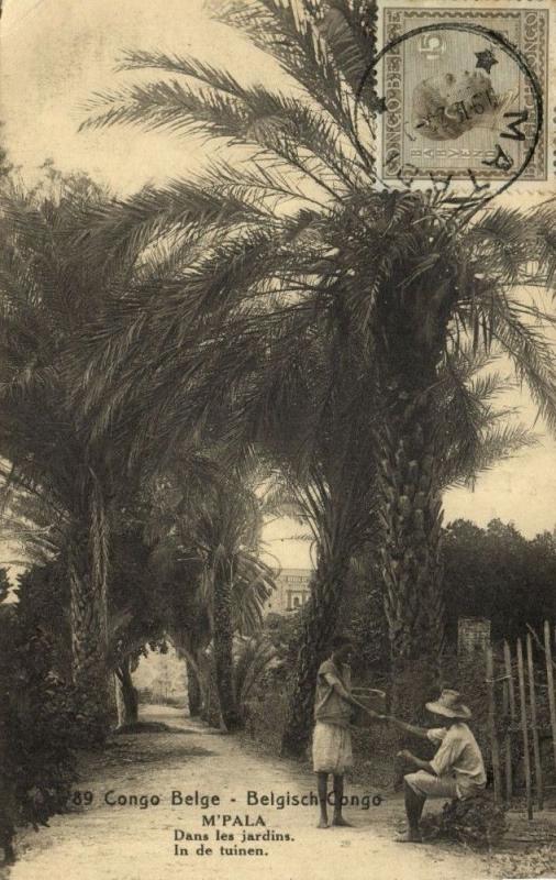belgian congo MPALA In the Gardens Palm Tree 1924 Postcard 89