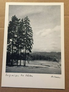 UNUSED POSTCARD - LANDSCAPE, PUBL. WALTER NIESSEN, GERMANY